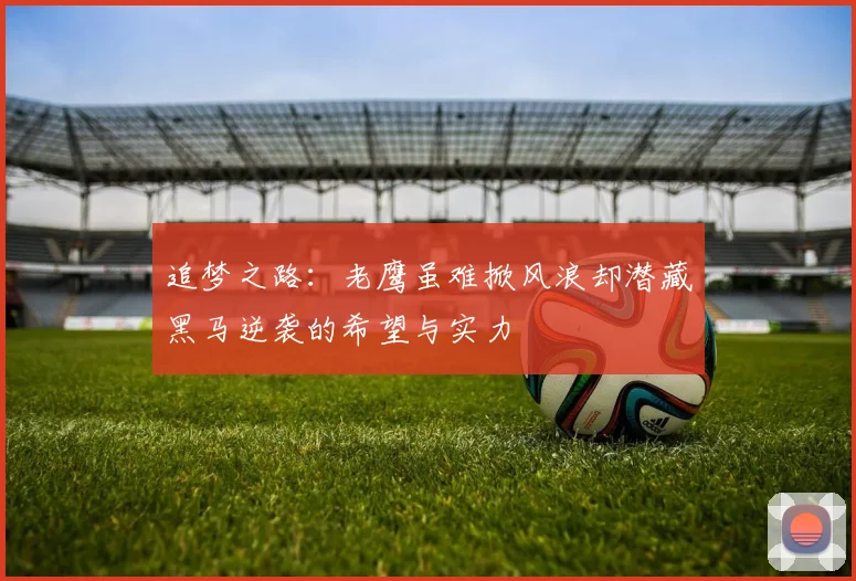 追梦之路：老鹰虽难掀风浪却潜藏黑马逆袭的希望与实力