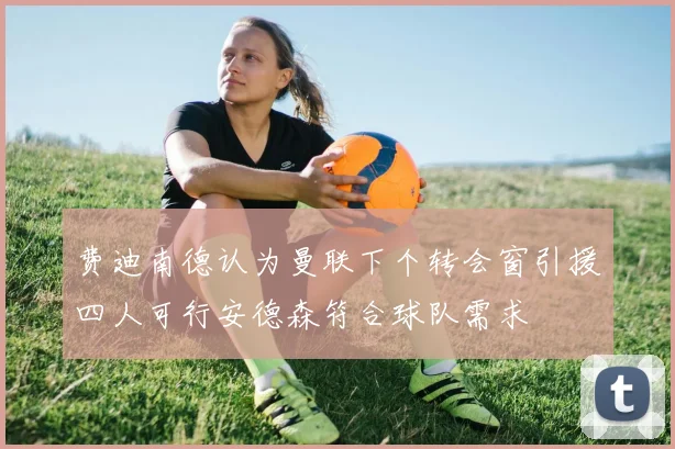 费迪南德认为曼联下个转会窗引援四人可行安德森符合球队需求